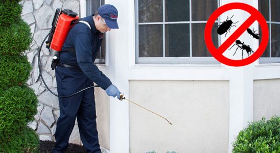 Adalar Böcek İlaçlama böcek ilaçlama ve haşere kontrolü — ilaclama-tr.com